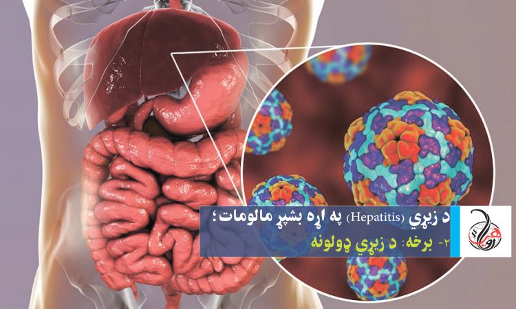 د زيړي (Hepatitis) په اړه بشپړ مالومات؛ ۲- برخه: د زيړي ډولونه